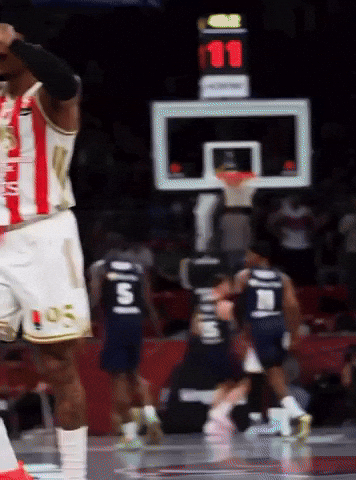 Crvena Zvezda GIF