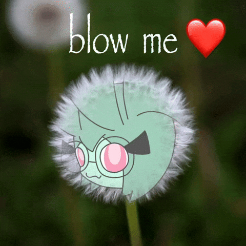 Dandelion GIF