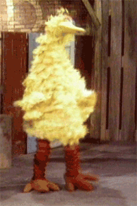 Dancing-bird GIFs - Get the best GIF on GIPHY