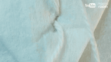 MacroRoom  GIF