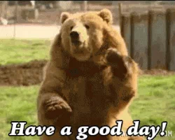 bear have a good day GIF
