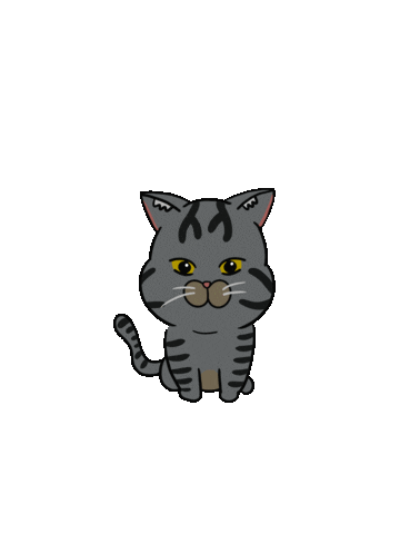 Cat Sticker