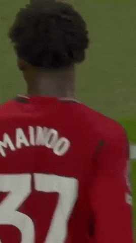Man Utd Football GIF