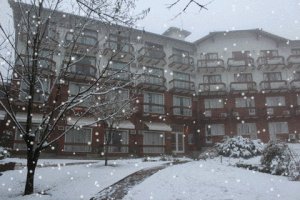 hotelalpestre  GIF