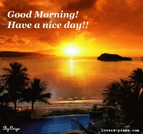 Good Morning GIF