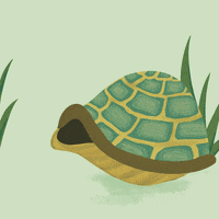Cartoon-tortoise GIFs - Get the best GIF on GIPHY