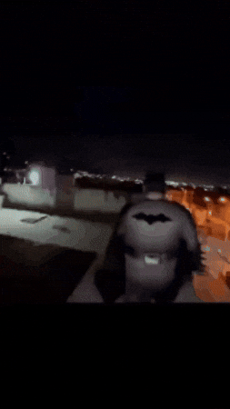 Verticalbertical GIF