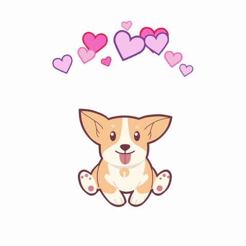 PookiesPets GIF