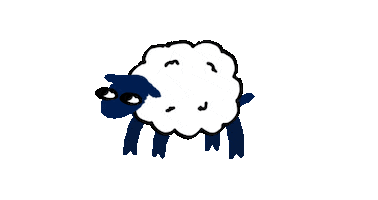 Sonoma Raceway Sticker