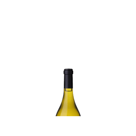 Vino a Vos Sticker