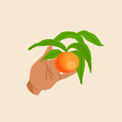 Illustrated gif. Hand clutches an orange with stems, against a beige background.