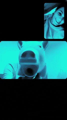 Tomasz GIF