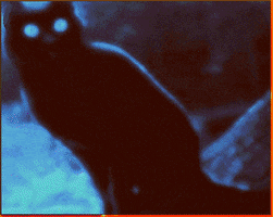 Image hotlink - 'https://media3.giphy.com/media/QIJ4Dip3DTo8o/200.gif#16' Image hotlink - 'https://media3.giphy.com/media/QIJ4Dip3DTo8o/200.gif#16'