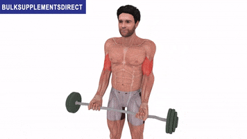 Bulksupplementsdirectcom GIF