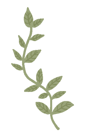Plant Aesthetic Green Leaf Sticker