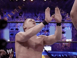 rob van dam wrestling GIF by WWE