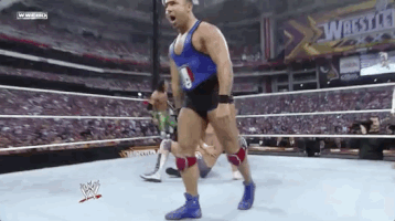 santino marella wrestling GIF by WWE