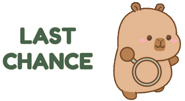 Dont Miss Out Last Chance Sticker