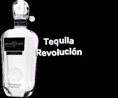 Party Nightlife GIF by Tequila Revolución USA