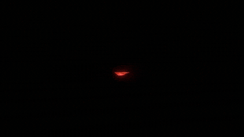 Ichigo Kurosaki Tybw GIF