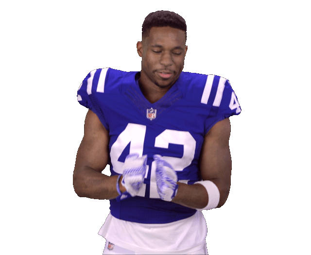 Indianapolis Colts Sticker Sticker by NFL for iOS & Android GIPHY