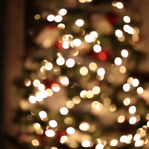 Christmas Tree GIF by dua.com