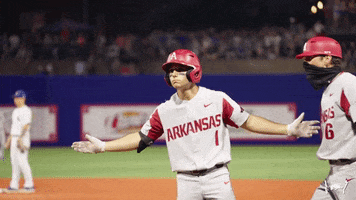 College Baseball What GIF by Arkansas Razorbacks