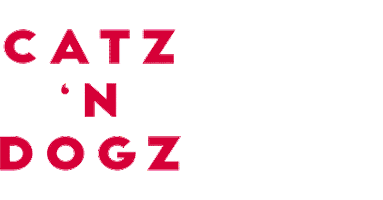 pets recordings Sticker