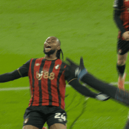Happy Premier League GIF by AFC Bournemouth