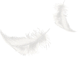 Feather Sticker by Always Brand Europe