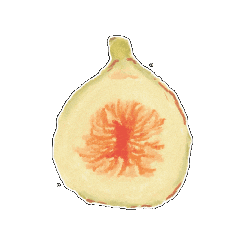 Fig Sticker