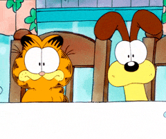Cat What GIF by Garfield