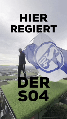 Bundesliga Fan GIF