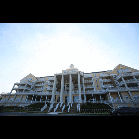 briandonohue #shark #1916njsharkattacks GIF