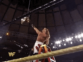 Heartbreak Kid Sport GIF by WWE