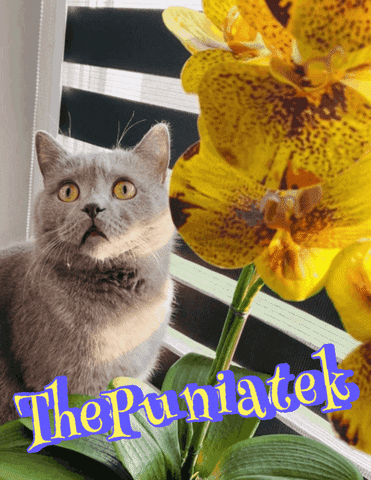 Crturbo Gif By sticker