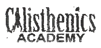 Calisthenics Academy Sticker