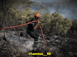 Algeria Firefighters GIF