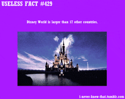 Text gif. The Walt Disney logo appears. Text, “Useless fact #429. Disney World is larger than 17 other countries.”