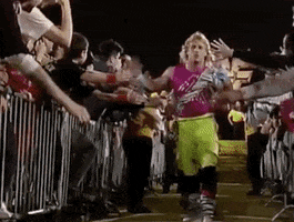 Shawn Michaels Wrestling GIF by WWE