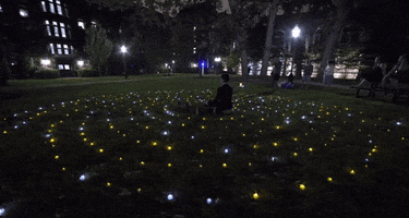 oweek GIF by The University of Chicago