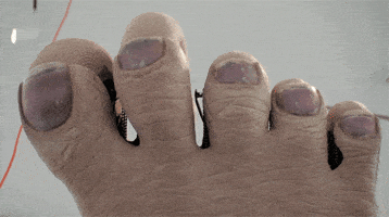 contemporary art installation GIF by Art21