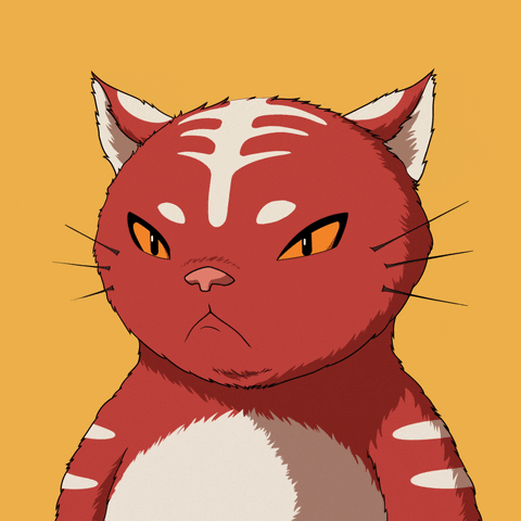 Cat No GIF by Kitaro World