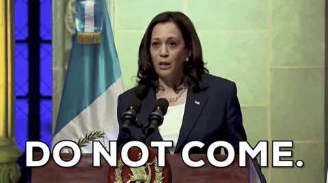 giphy.gif?cid=790b76115fc10c29c4896d737a