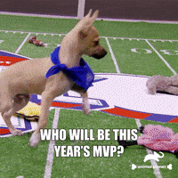 Dogs Love GIF by Puppy Bowl