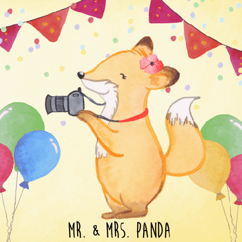 Party Kamera GIF by Mr. & Mrs. Panda