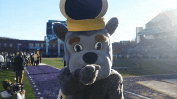 Mascots Go Dukes GIF by James Madison University
