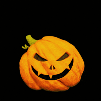 Pumpkin Spice Halloween GIF by Elysian Brewing Co.