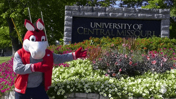 Red And Black College GIF by University of Central Missouri