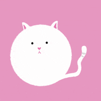 200.gif?cid=fc005b08bba422b2336bd7bb5c2eb80714be0110e01579c0&rid=200.gif&ct=g